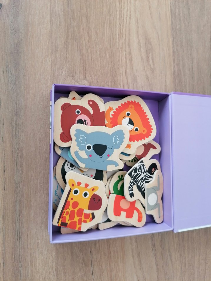 Djeco Mıknatıslı Oyunlar - Görsel 3