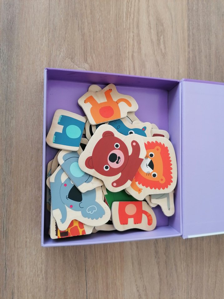 Djeco Mıknatıslı Oyunlar - Görsel 2