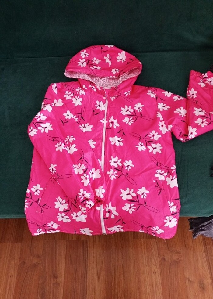 Tane 250 TL - Görsel 2