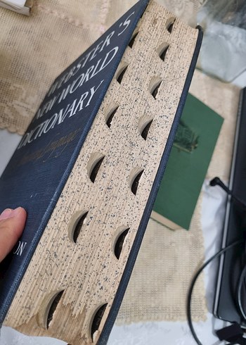 Webster's New World İkinci Kolej Sözlüğü - Görsel 4