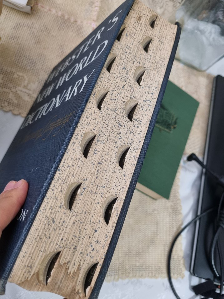 Webster's New World İkinci Kolej Sözlüğü - Görsel 4