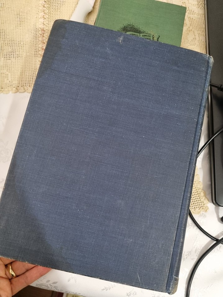 Webster's New World İkinci Kolej Sözlüğü - Görsel 5