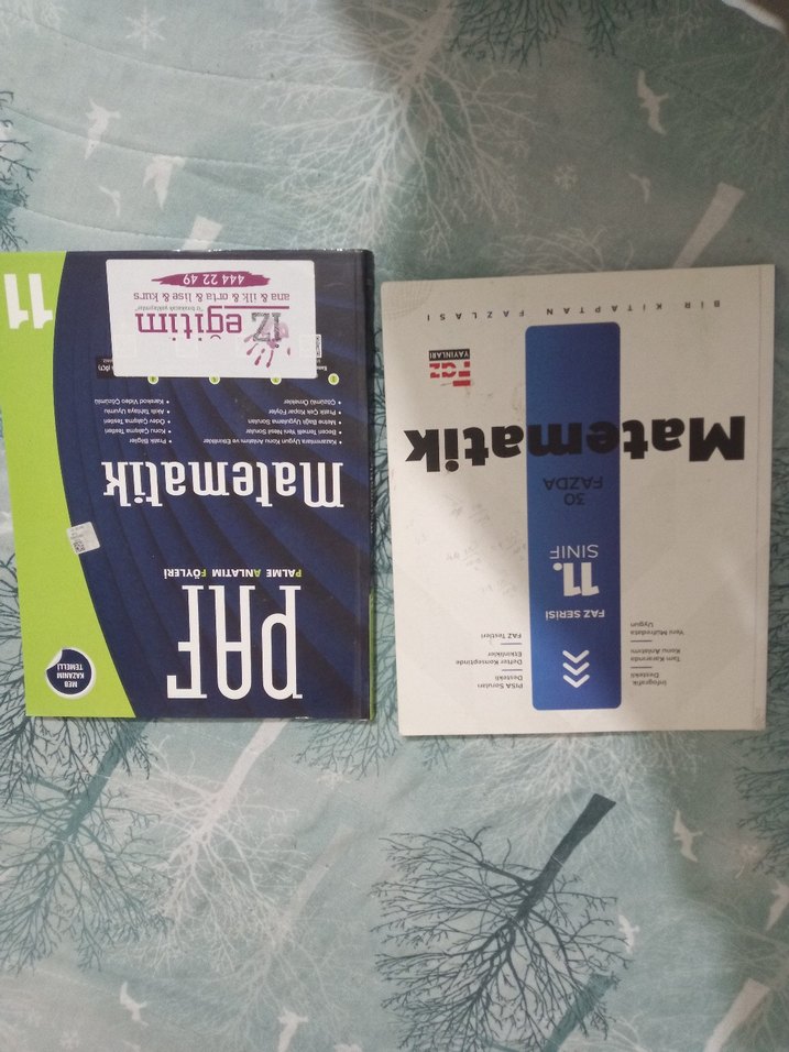 11.sınıf fizik matematik test kitapları - Görsel 2