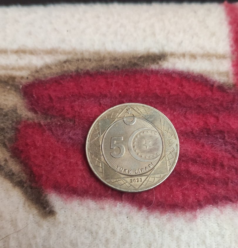 özel baskı madeni 5 TL - Görsel 2