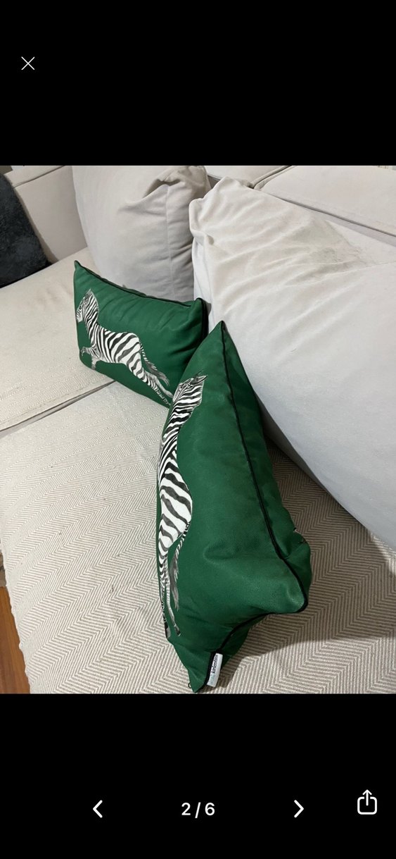 Zebra Desenli Yeşil Dekoratif Yastık Kılıfı - Görsel 3