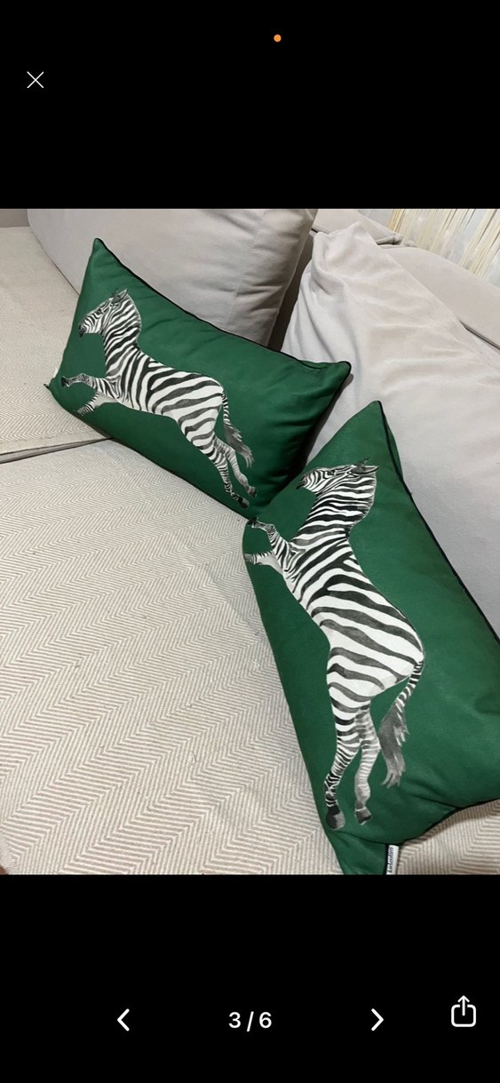Zebra Desenli Yeşil Dekoratif Yastık Kılıfı - Görsel 2