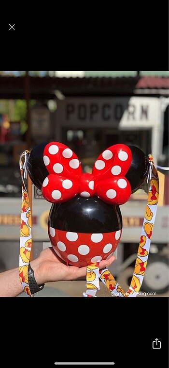 Minnie mouse canta