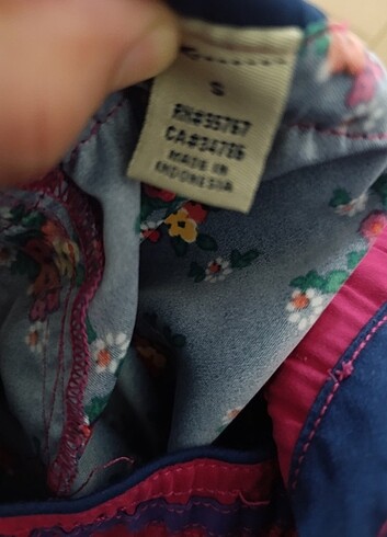 Mavi deniz sortu  - Görsel 6