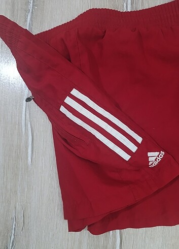 Erkek deniz sortu - Görsel 5