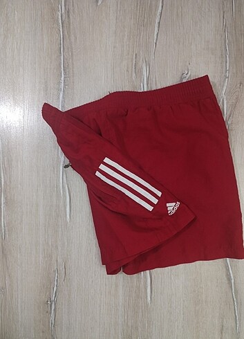 Erkek deniz sortu - Görsel 9