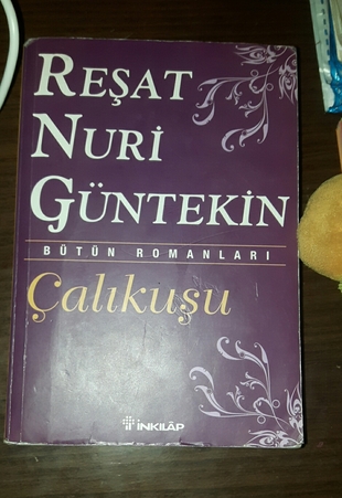 çalıkuşu kitap
