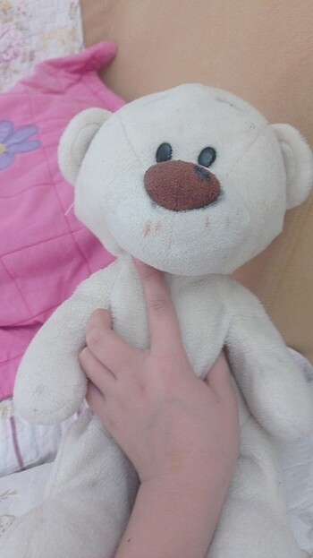  Beden Ayicik