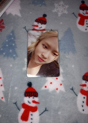 Rose Photocard