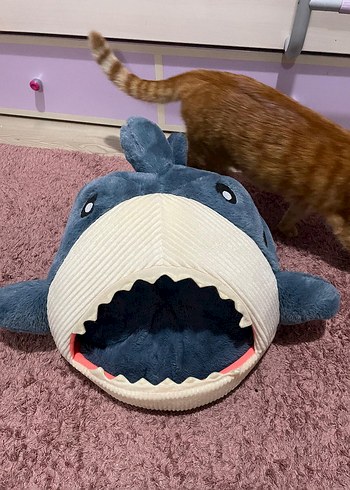 Mavi Köpek Balığı Kedi Yatağı - Görsel 4