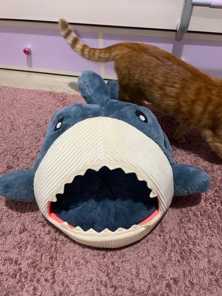 Mavi Köpek Balığı Kedi Yatağı - Görsel 4