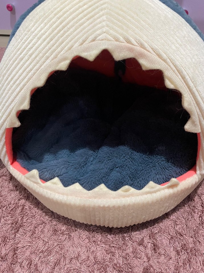 Mavi Köpek Balığı Kedi Yatağı - Görsel 3