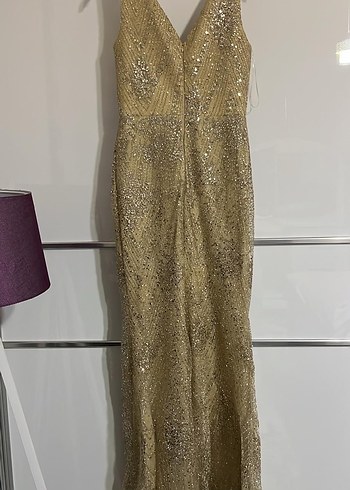 Bej Parlak Pul İşlemeli Uzun Abiye Elbise - Görsel 3