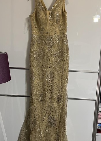 Bej Parlak Pul İşlemeli Uzun Abiye Elbise - Görsel 2