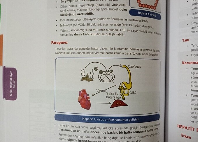Beden Renk Tusdata Entegre Dersler