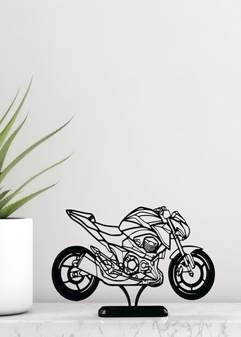#Kawasaki#Z800#Motorsiklet#hediye#fikri#sanat#heykeli#