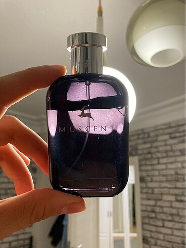 Bvlgari Bvlgari tygar Muscent