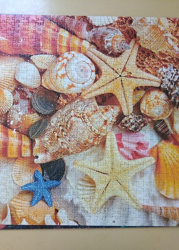 1000 parça Renkli Deniz Kabukları ve Deniz Yıldızı Puzzle