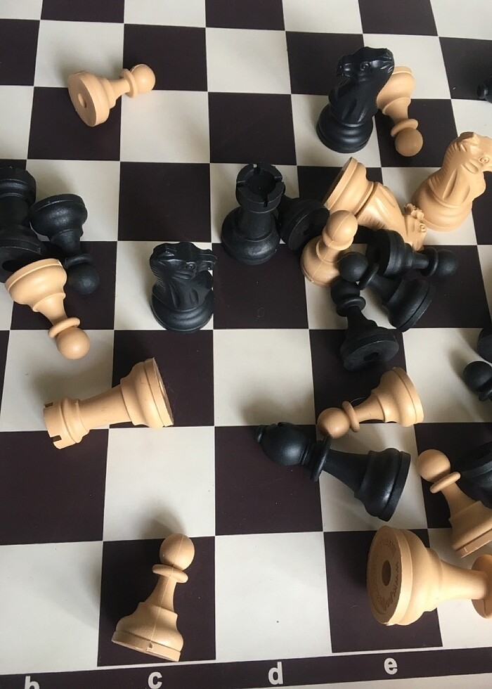 Polipet satranç turnuva takımı - Görsel 5