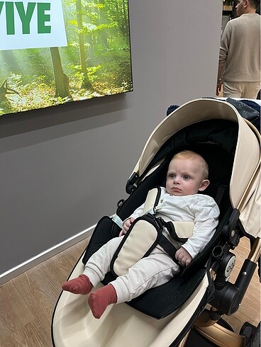 15-36 kg Beden camel Renk Huggy bebek arabası