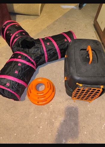 Turuncu Taşıma Kabı ve Tünelli Kedi Oyuncağı