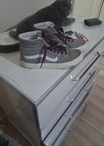 Vans Vans orjinal
