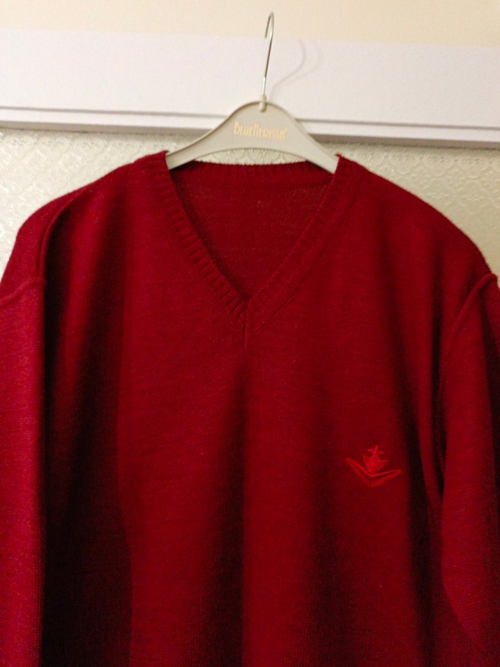 Bordo V Yaka Erkek Triko Kazak - Görsel 2