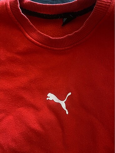 Diğer puma üst