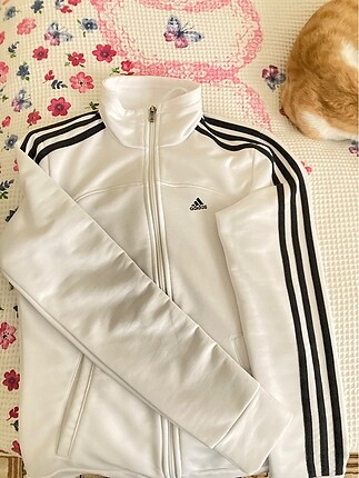 xs Beden Adidas bayan hırka