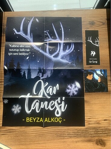  Kar Tanesi ve kar Küresi seti posterli