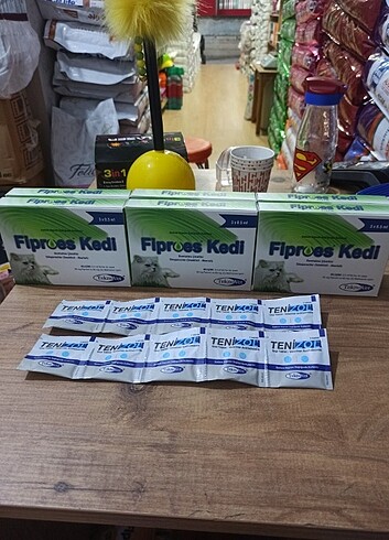 4 er adet iç dış Parazit 