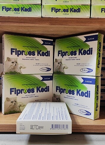 Fibroes kedi dış parazit 