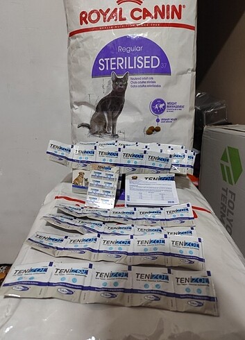 Tenizol iç par 