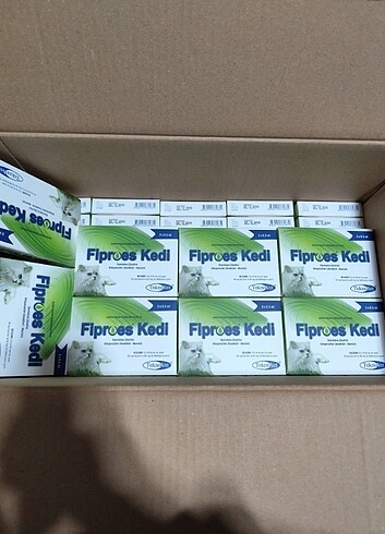 Fibroes kedi dış par. 