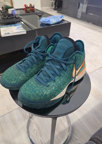 NIKE ZOOM LEBRON NXXT GEN