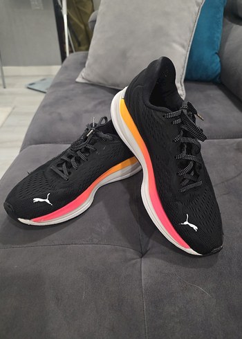 Puma 39