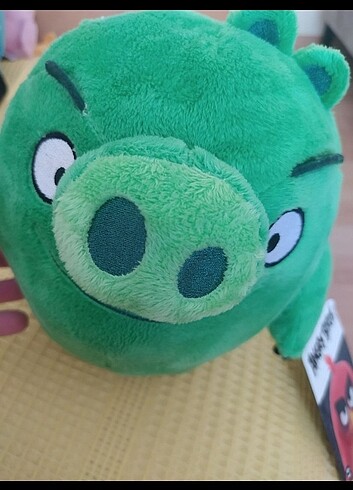 Angry birds domuzcuk