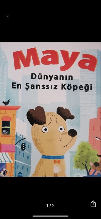 Maya dünyanın en şanssız köpeği