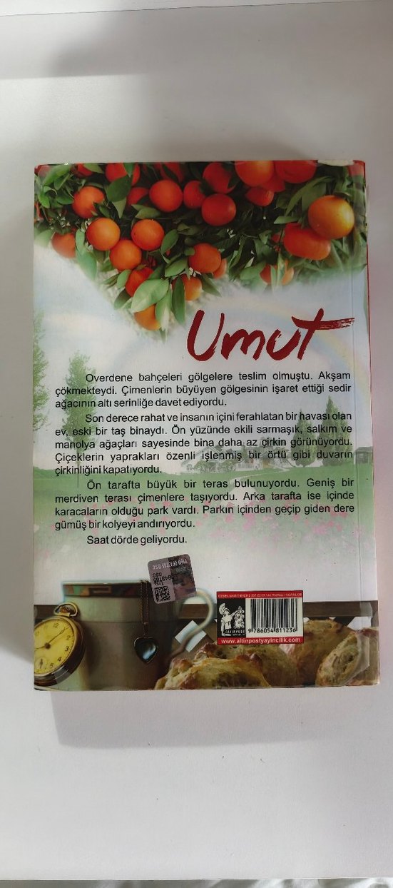 Umut - Rhymond Rudiguet Roman Kitabı - Görsel 2