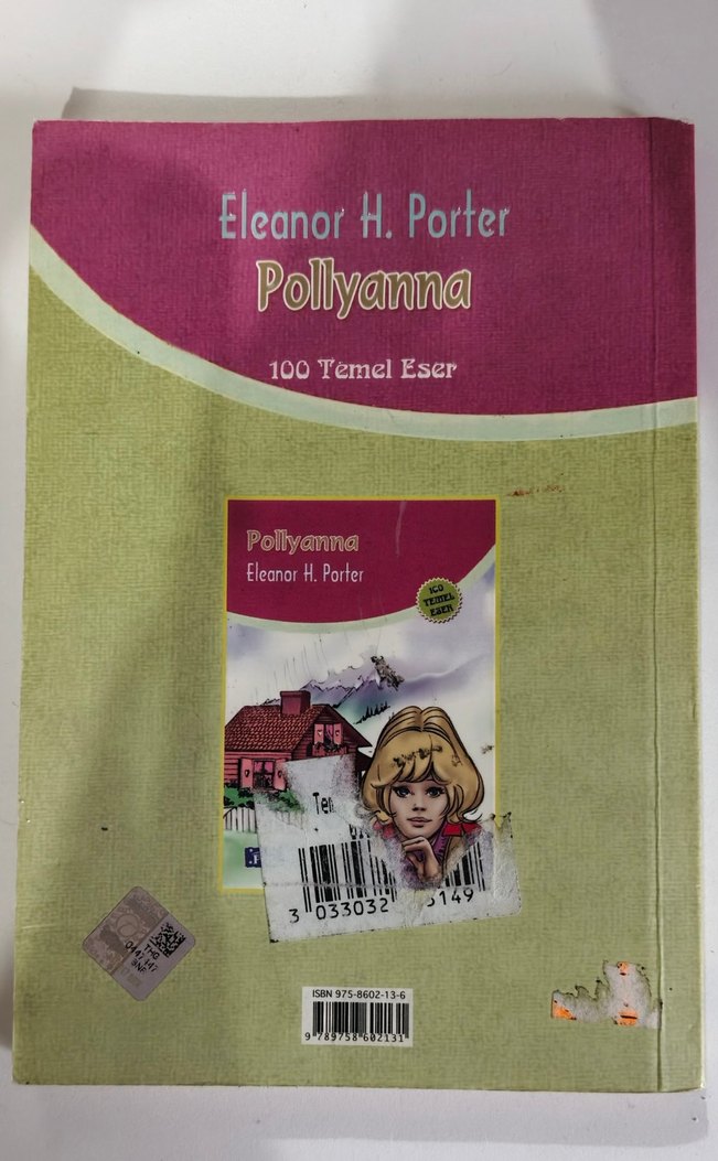 Pollyanna - Eleanor H. Porter Çocuk Kitabı - Görsel 2