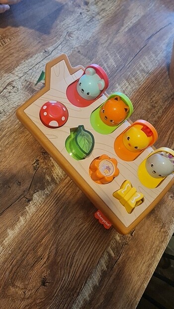 Fisher price egitici oyuncak