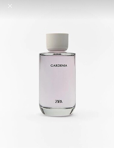 Gardenia