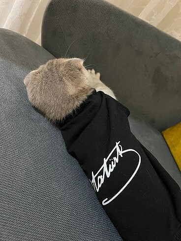 Kedi kıyafeti  sıkıntısız - Görsel 3
