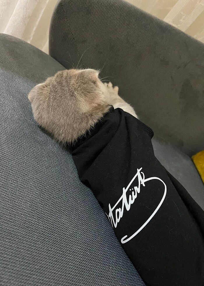 Kedi kıyafeti  sıkıntısız - Görsel 3