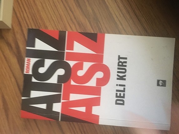 HÜSEYİN NİHAL ATSIZ DELİ KURT
