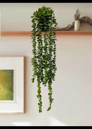 LAV 12 Parça İnce Cam Çay Seti - Görsel 16